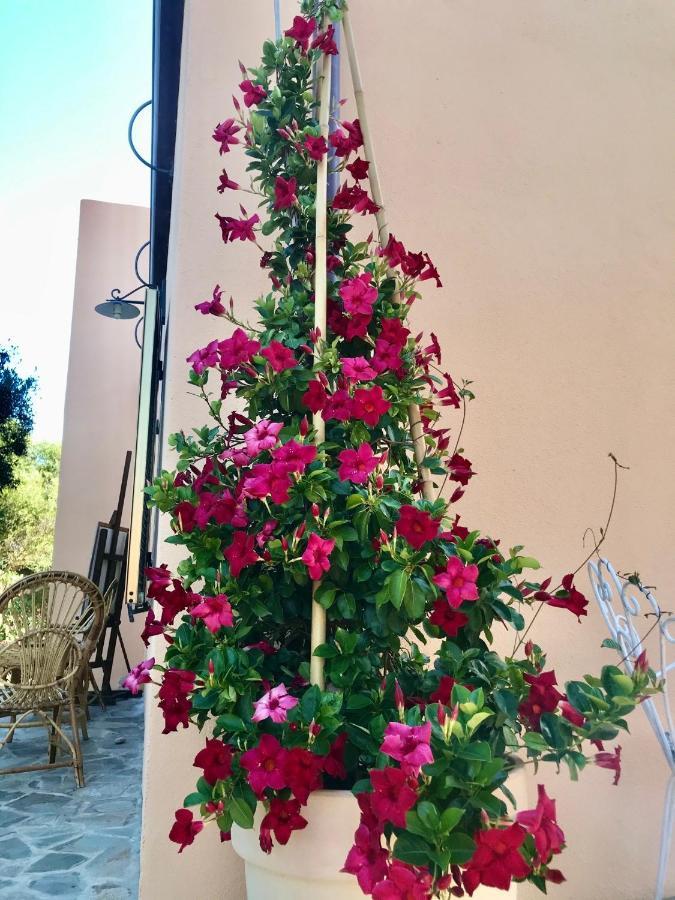 Le 25 Tartarughe Bed & Breakfast Santa Teresa Gallura Luaran gambar