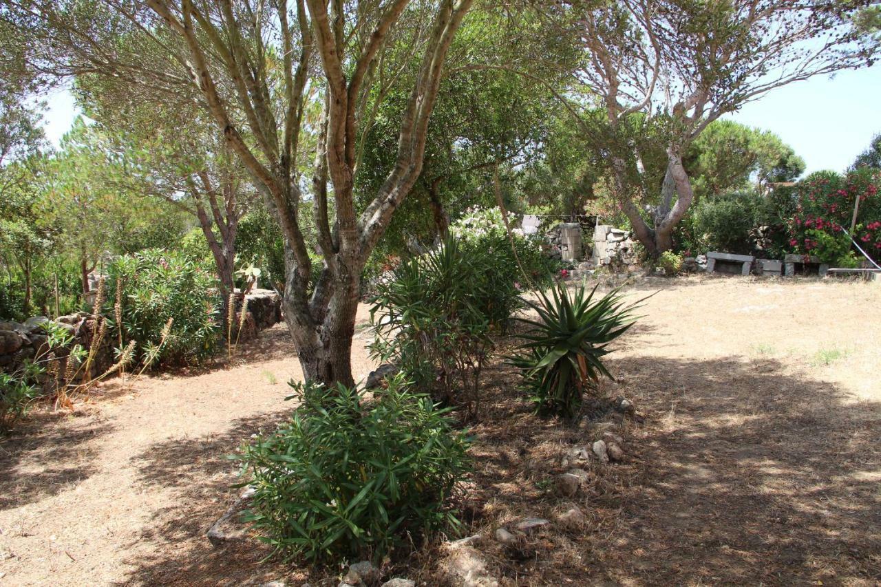 Le 25 Tartarughe Bed & Breakfast Santa Teresa Gallura Luaran gambar