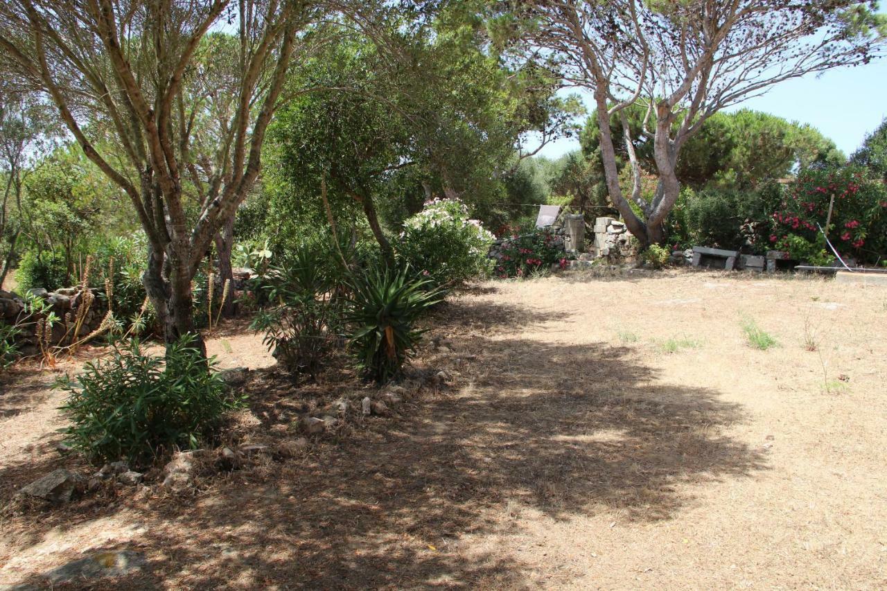 Le 25 Tartarughe Bed & Breakfast Santa Teresa Gallura Luaran gambar