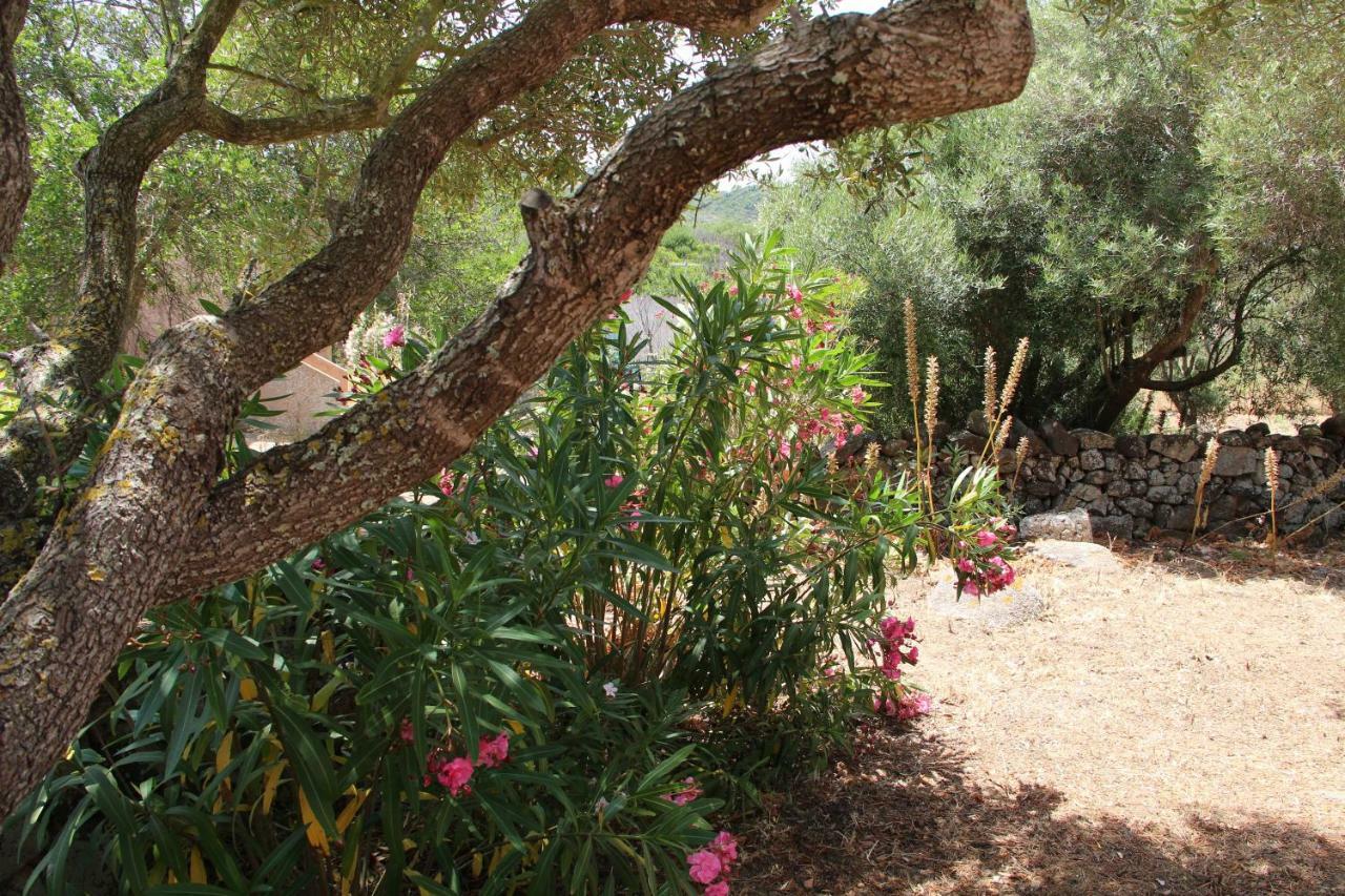 Le 25 Tartarughe Bed & Breakfast Santa Teresa Gallura Luaran gambar