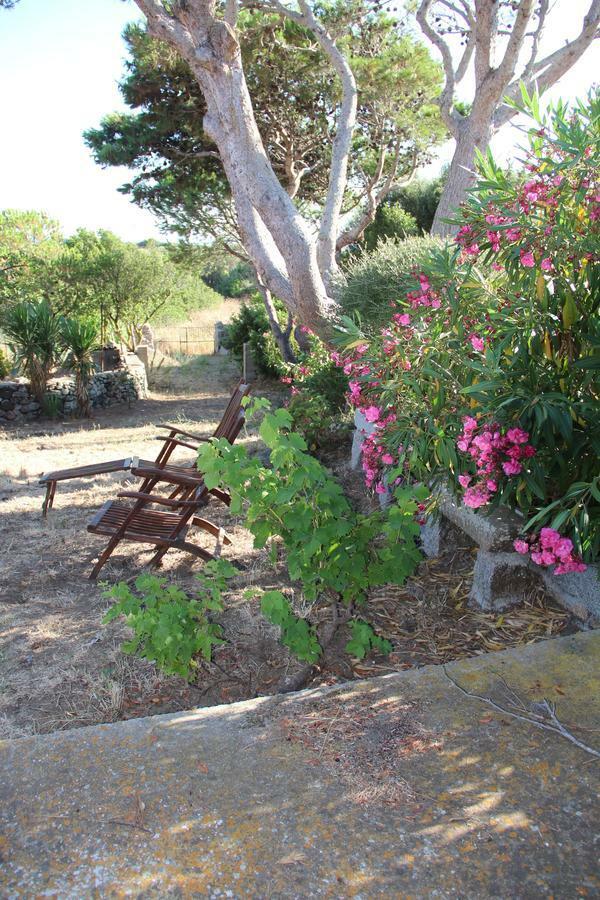 Le 25 Tartarughe Bed & Breakfast Santa Teresa Gallura Luaran gambar
