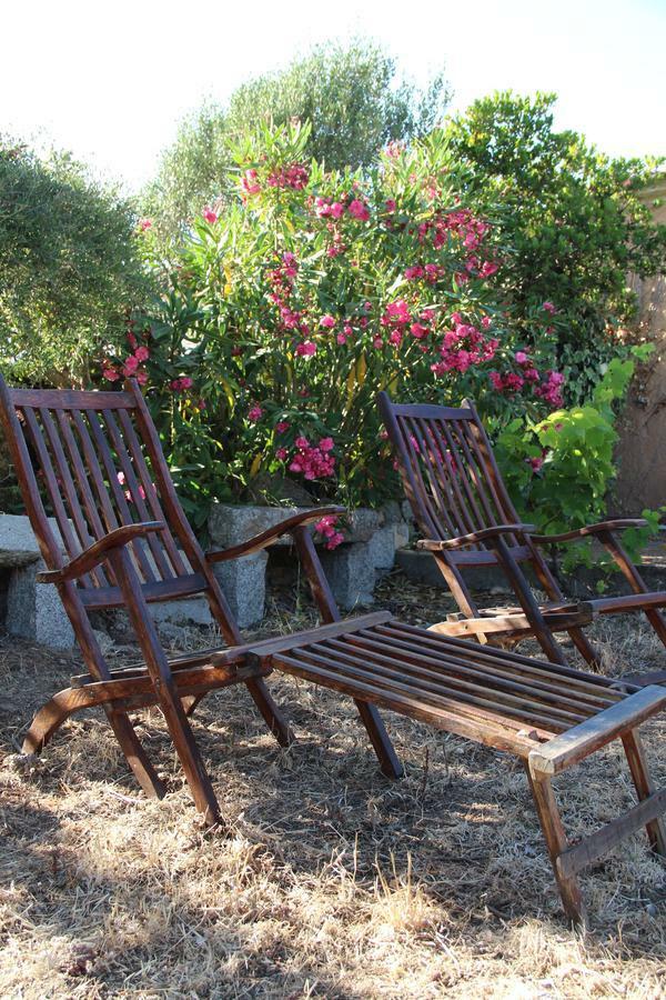 Le 25 Tartarughe Bed & Breakfast Santa Teresa Gallura Luaran gambar