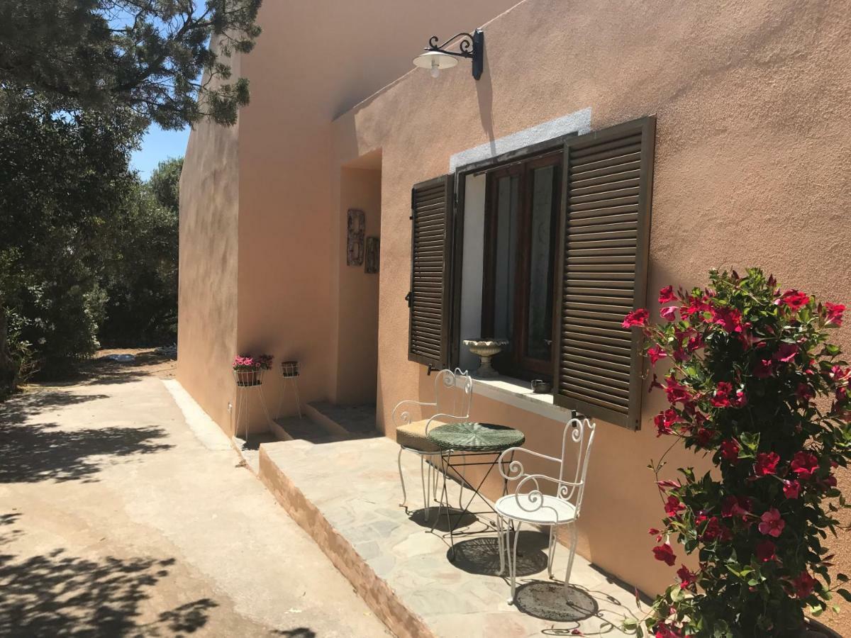 Le 25 Tartarughe Bed & Breakfast Santa Teresa Gallura Luaran gambar